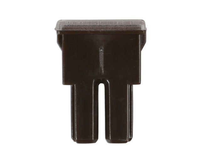 Female PAL Fuses 70A 10pc