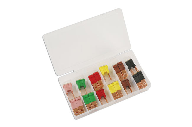 Assorted Male PAL Fuses 18pc