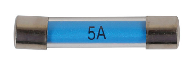 Glass Auto Fuses 5A 100pc