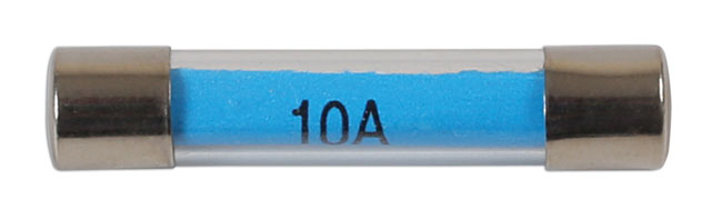 Glass Auto Fuses 10A 100pc