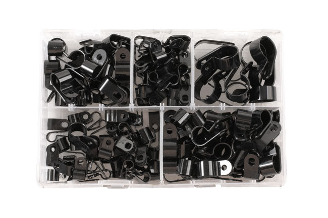 Assorted Nylon P Clips Box 160pc
