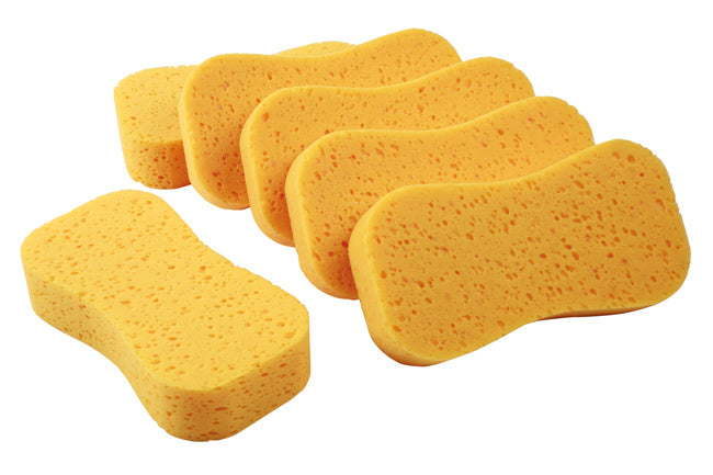 Wash Sponges 6pc