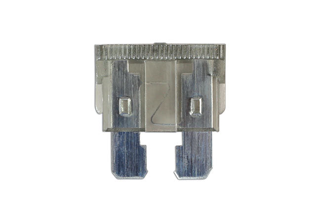 Standard Blade Fuse 2A 10pc