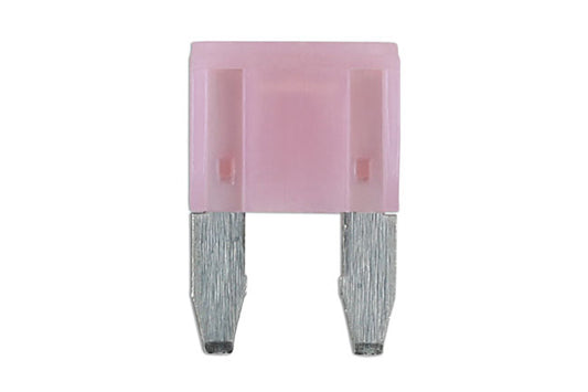 LED Mini Blade Fuses 4A 25pc